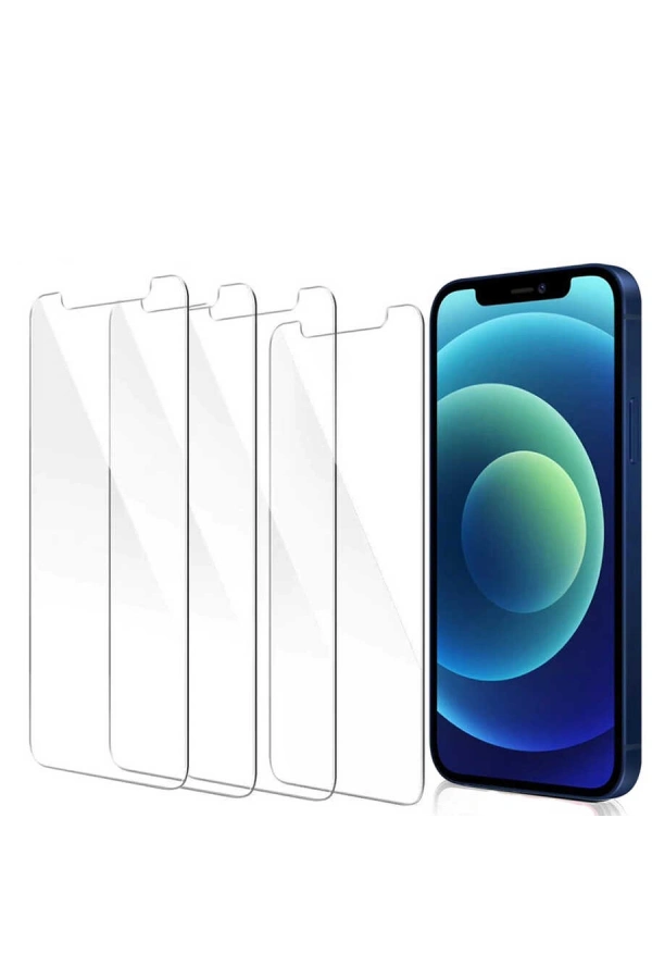 Apple iPhone 13 Pro Zore Nano Micro Temperli Ekran Koruyucu