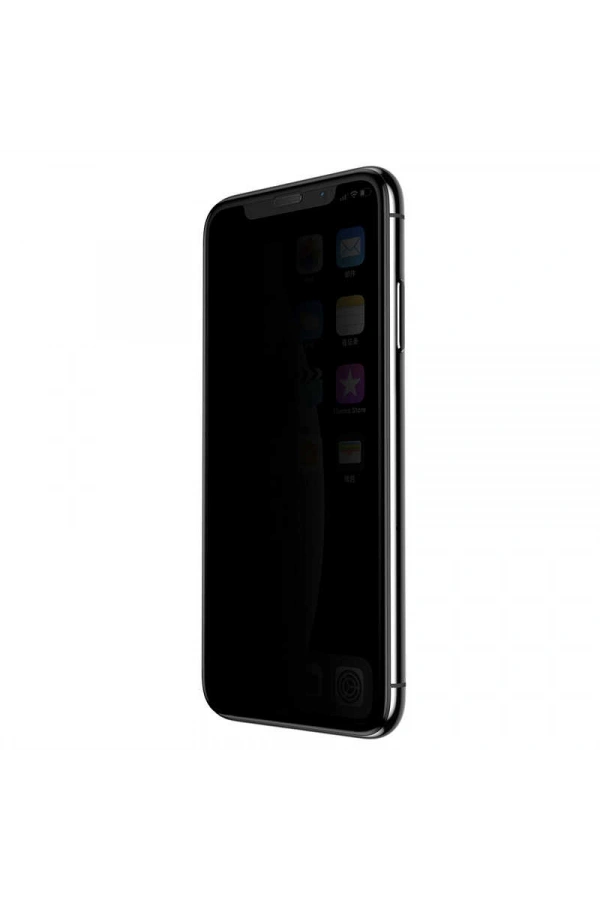 Apple iPhone XS Max 6.5 Zore Anti-Dust Privacy Temperli Ekran Koruyucu