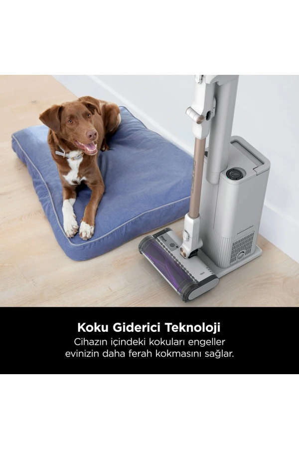 Shark Detect Clean&Empty Auto-Empty Sistemli Turbo Başlıklı Şarjlı Dikey Süpürge
