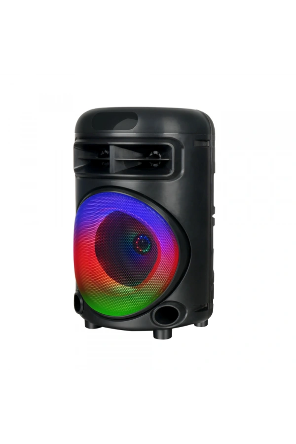 Zore GD-692 FM Radyolu Mikrofonlu RGB TWS 6.5 inç Stereo Bass Kablosuz Karaoke Hoparlör