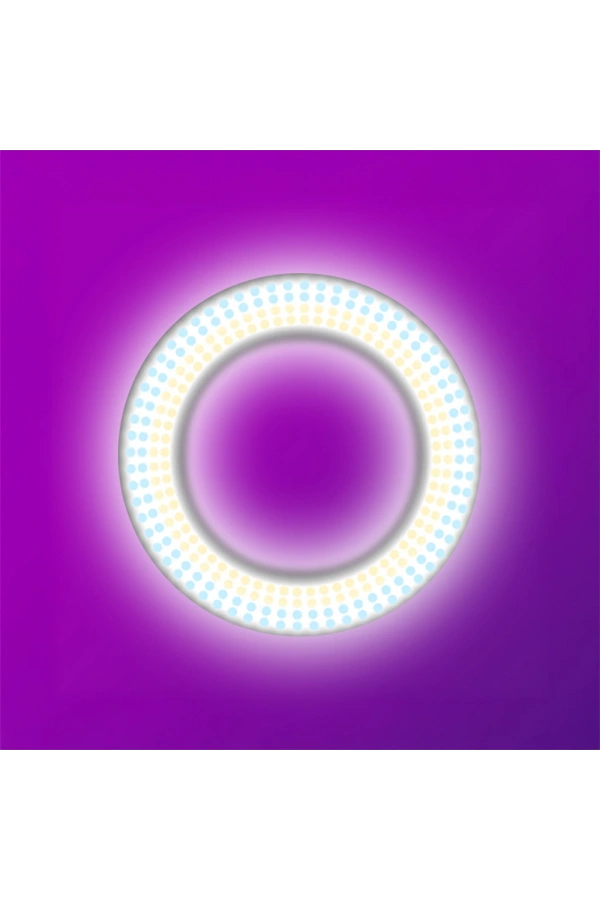 Zore LJJ22 RGB Light 56cm Işıklı Telefon Tutucu Ring Light