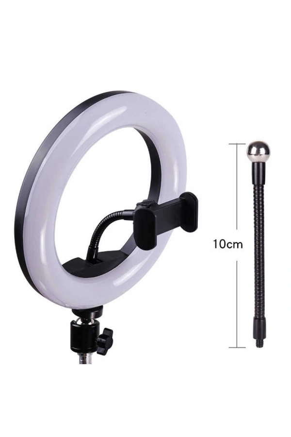 Zore M20 Işıklı Telefon Tutucu Ring Light