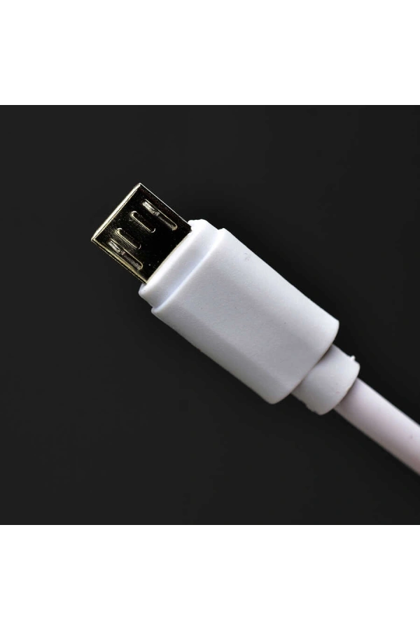 Zore Metro Serisi ZR-TC01 Micro 2 in 1 Şarj Seti