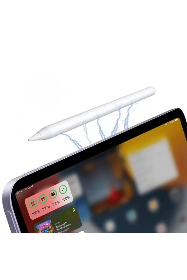 Zore Pencil 09 Palm-Rejection Magnetik Şarj ve Eğim Özellikli Dokunmatik Çizim Kalemi