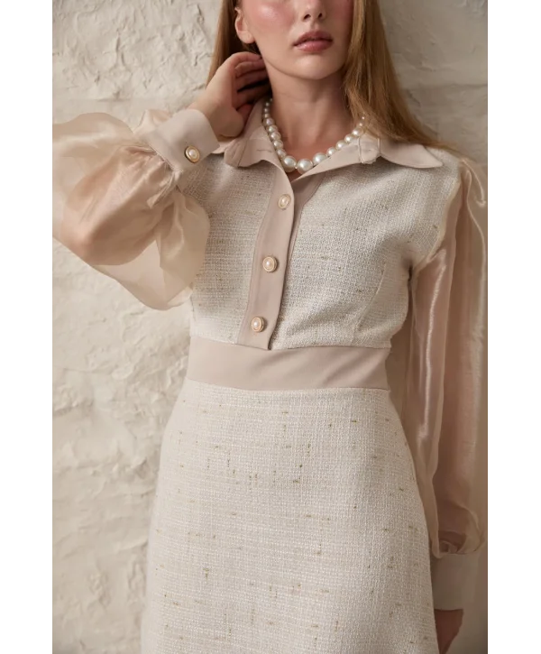 Bej Kolu Organze Garnili Elbise