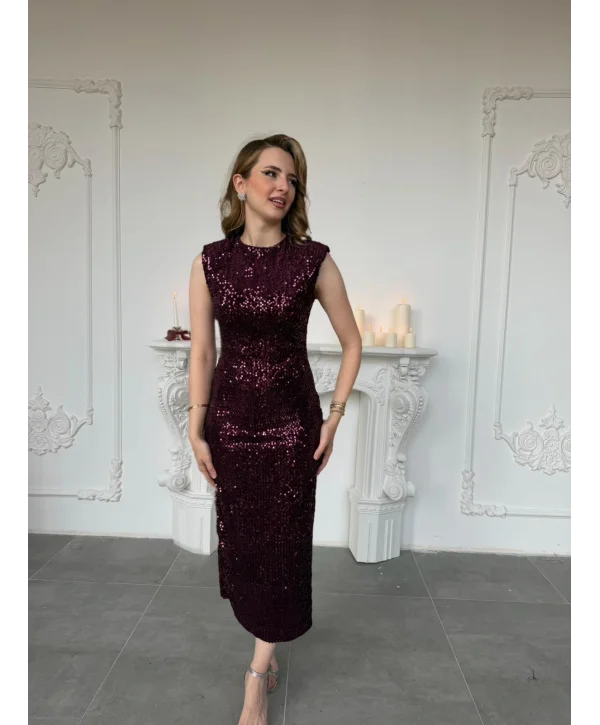 Payet İşlemeli Kadife Vatkalı Mürdüm Elbise