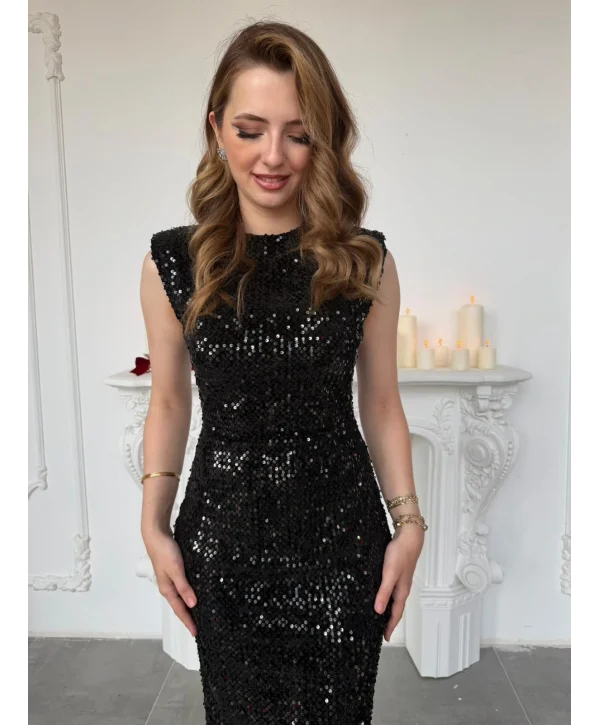 Payet İşlemeli Kadife Vatkalı Siyah Elbise