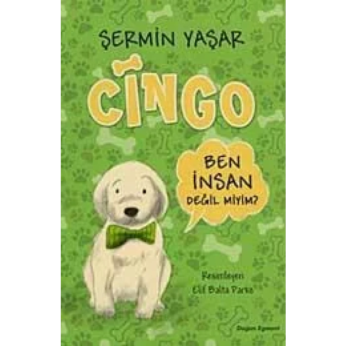 CİNGO - DOĞAN EGMONT