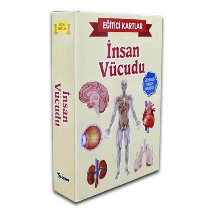 İNSAN VÜCUDU EĞİTİCİ KARTLAR - TELESKOP