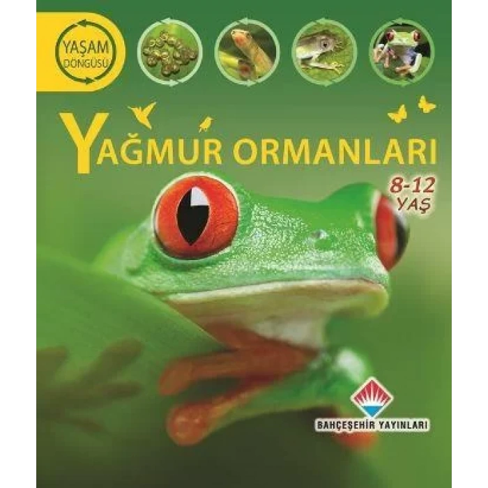 YAĞMUR ORMANLARI YAŞAM DÖNGÜSÜ SERİSİ