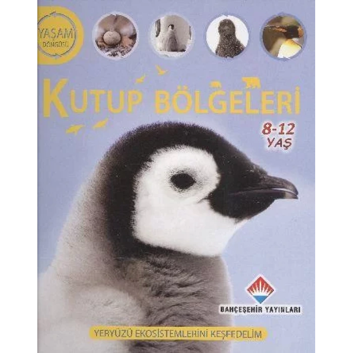 KUTUP BÖLGELERİ YAŞAM DÖNGÜSÜ SERİSİ