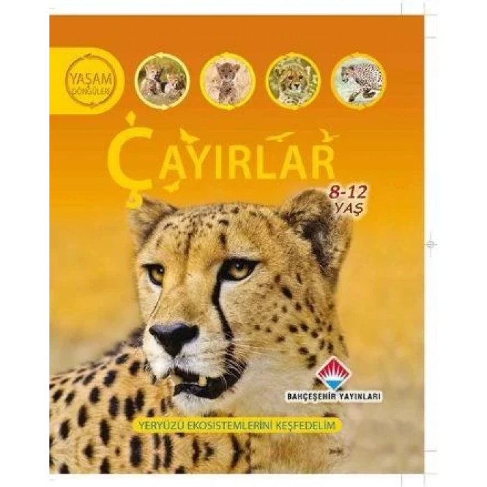 ÇAYIRLAR YAŞAM DÖNGÜLERİ SERİSİ