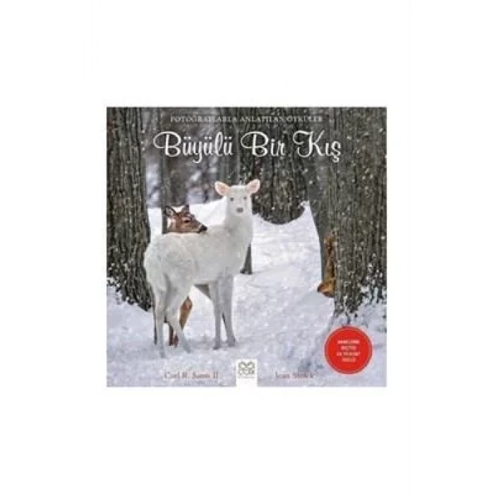 BÜYÜLÜ BİR KIŞ - 1001 ÇİÇEK