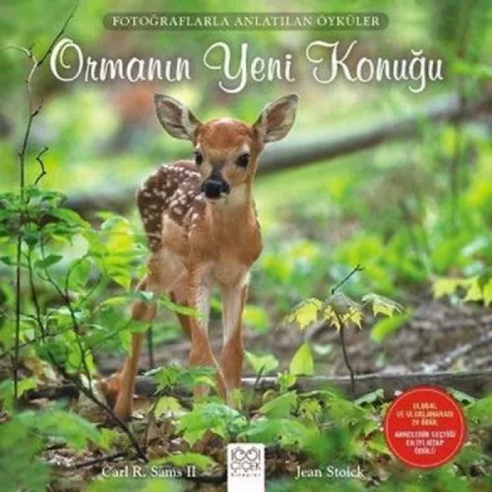 ORMANIN YENİ KONUĞU - 1001 ÇİÇEK