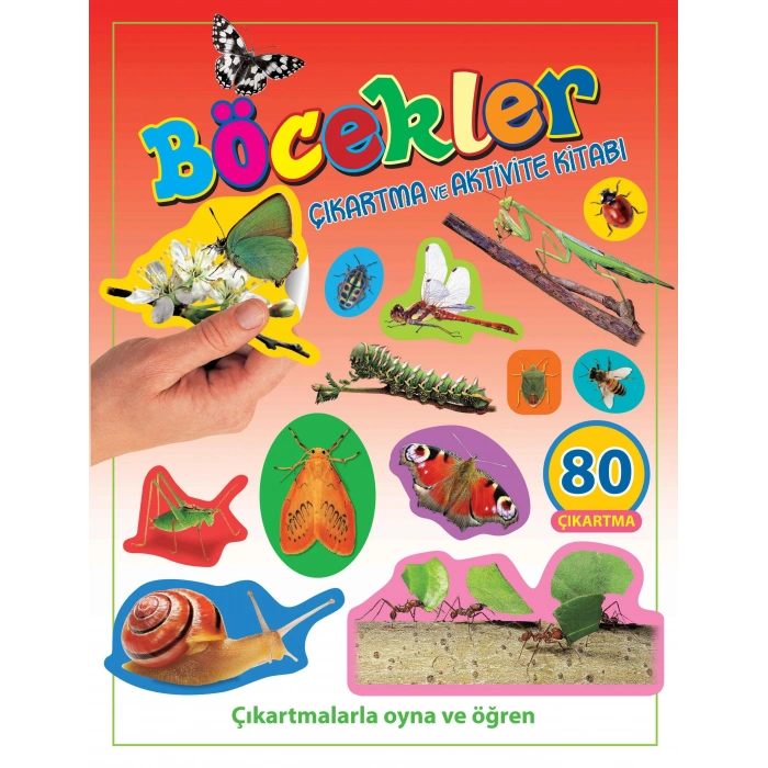 BÖCEKLER ÇIKARTMA VE AKTİVİTE - PARILTI