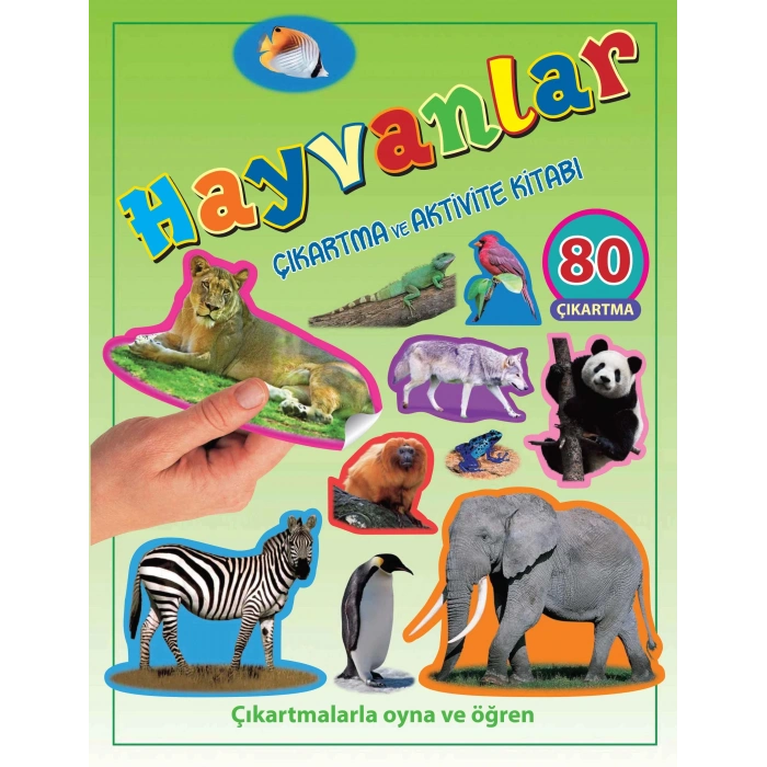 HAYVANLAR ÇIKARTMA VE AKTİVİTE - PARILTI