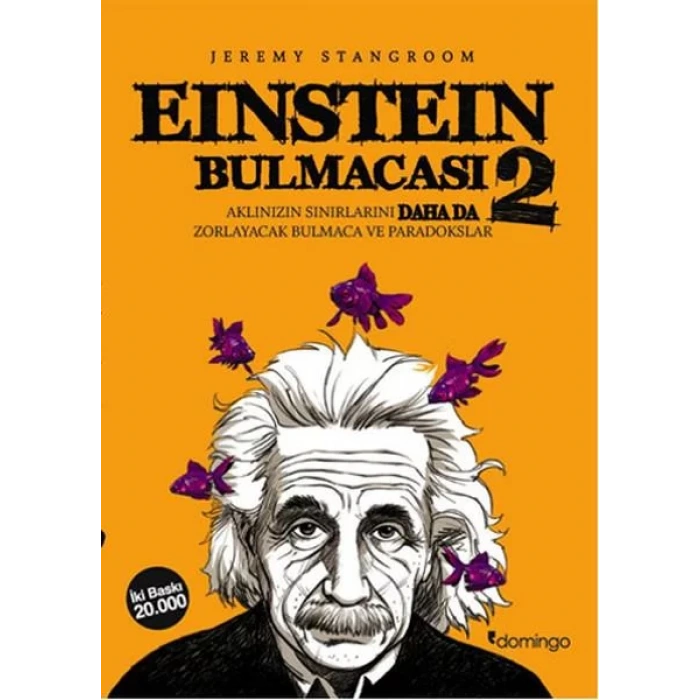 EİNSTEİN BULMACASI 2 - DOMİNGO