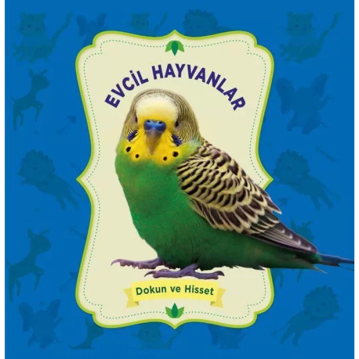 EVCİL HAYVANLAR DOKUN HİSSET - 0-6 YAŞ