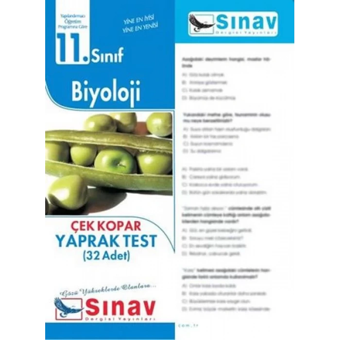 SINAV 11.SINIF BİYOLOJİ YAPRAK TEST