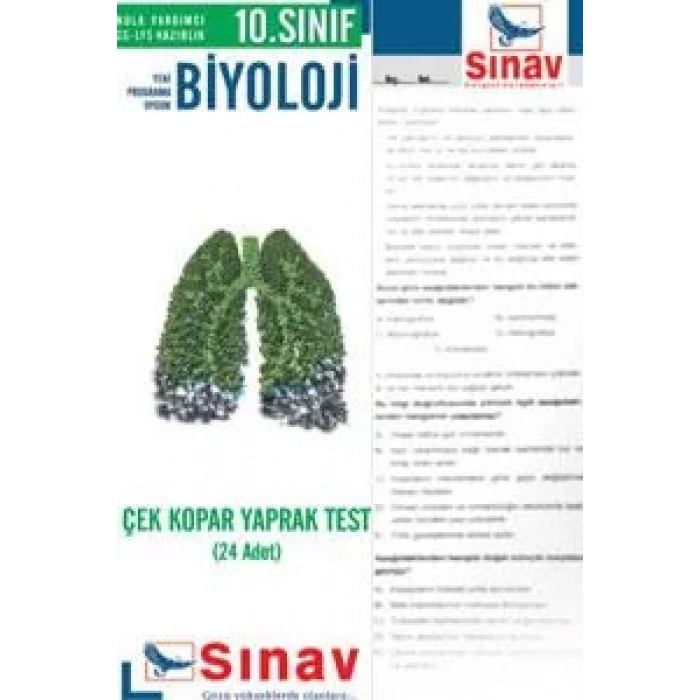 SINAV 10.SINIF BİYOLOJİ YAPRAK TEST