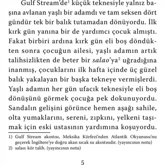 YAŞLI ADAM VE DENİZ - BİLGİ