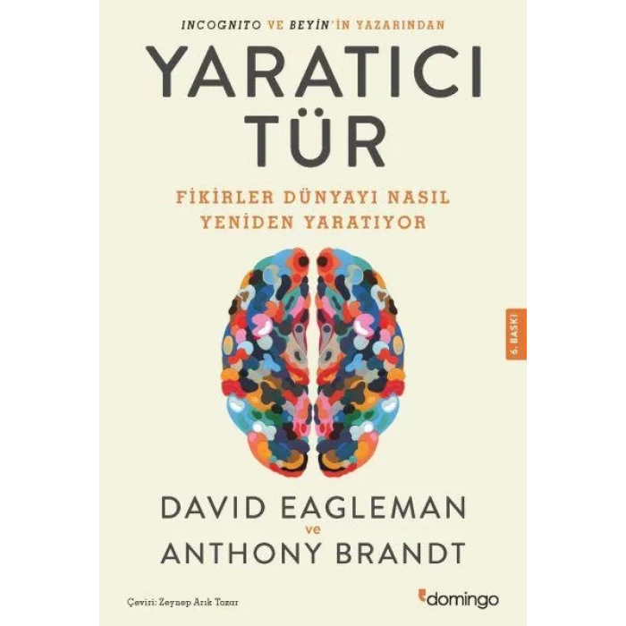 YARATICI TÜR - DOMİNGO