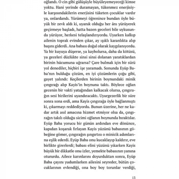 VE DAĞLAR YANKILANDI MİDİ BOY - EVEREST