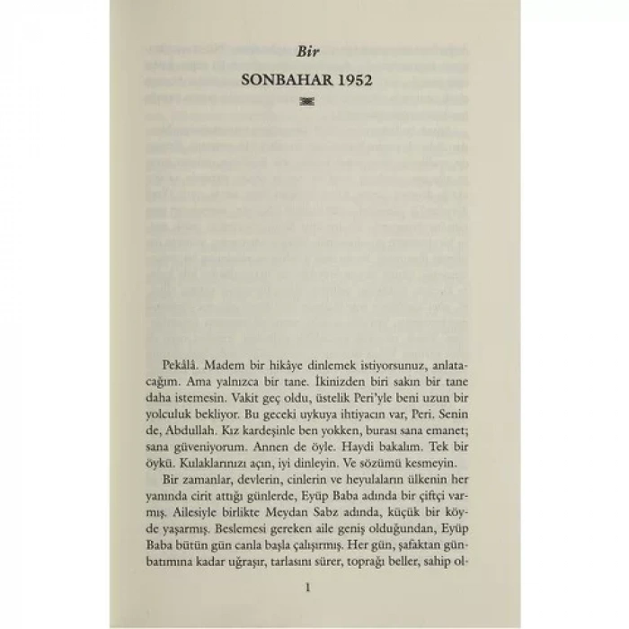 VE DAĞLAR YANKILANDI - EVEREST