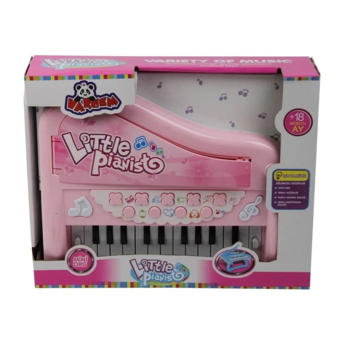 Var-N1291E/J68-01-AYAKLI ISIKLI PIANO