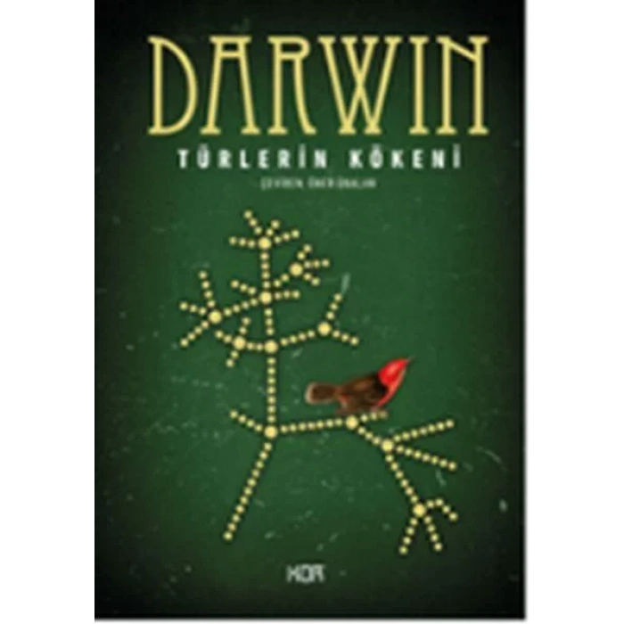 TÜRLERİN KÖKENİ - KOR