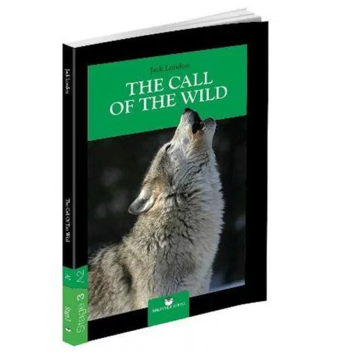 THE CALL OF THE WILD STAGE 3 - MK