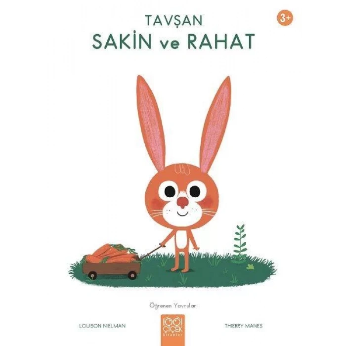 TAVŞAN SAKİN VE RAHAT - 1001 ÇİÇEK