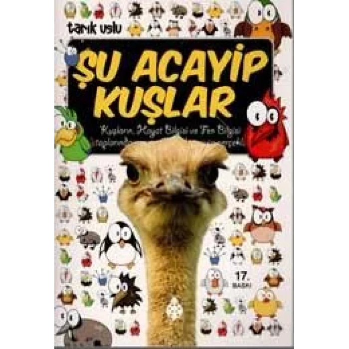 ŞU ACAYİP KUŞLAR - UĞURBÖCEĞİ