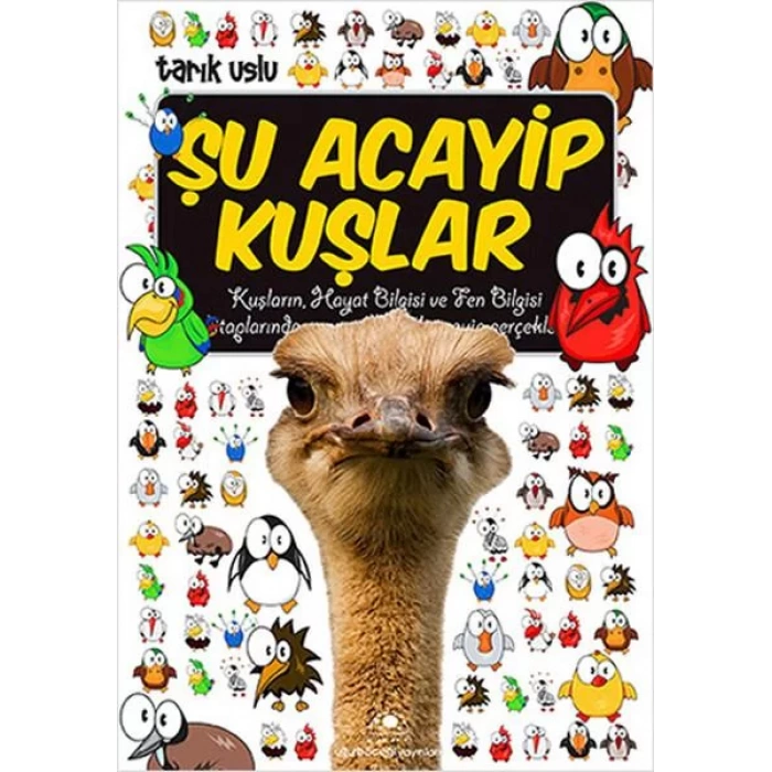 ŞU ACAYİP KUŞLAR - UĞURBÖCEĞİ