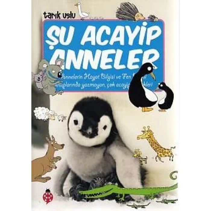 ŞU ACAYİP ANNELER - UĞURBÖCEĞİ