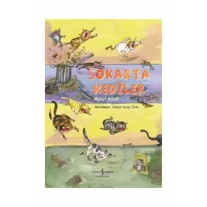 SOKAKTA KEDİLER - İŞBANKASI
