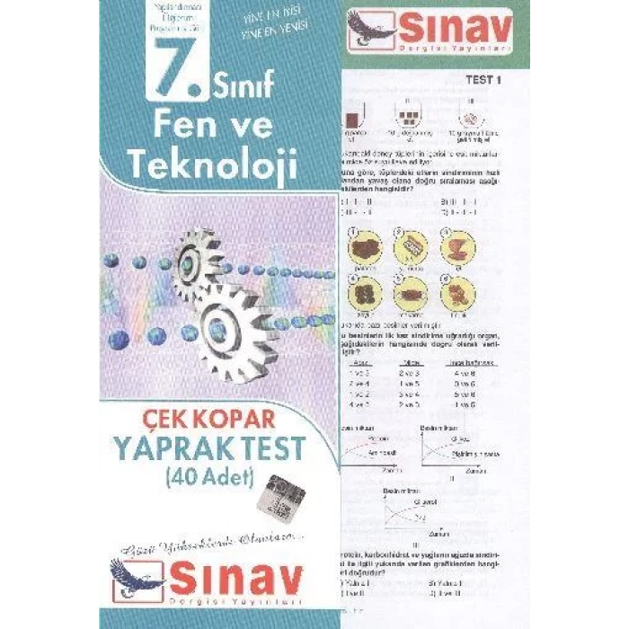 SINAV 7.SINIF FEN BİLİMLERİ YAPRAK TEST