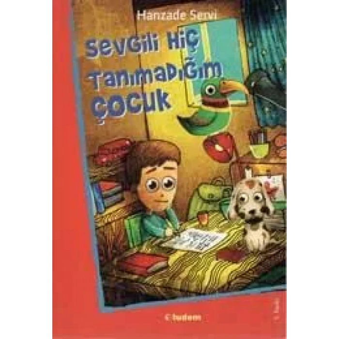 SEVGİLİ HİÇ TANIMADIĞIM ÇOCUK - TUDEM