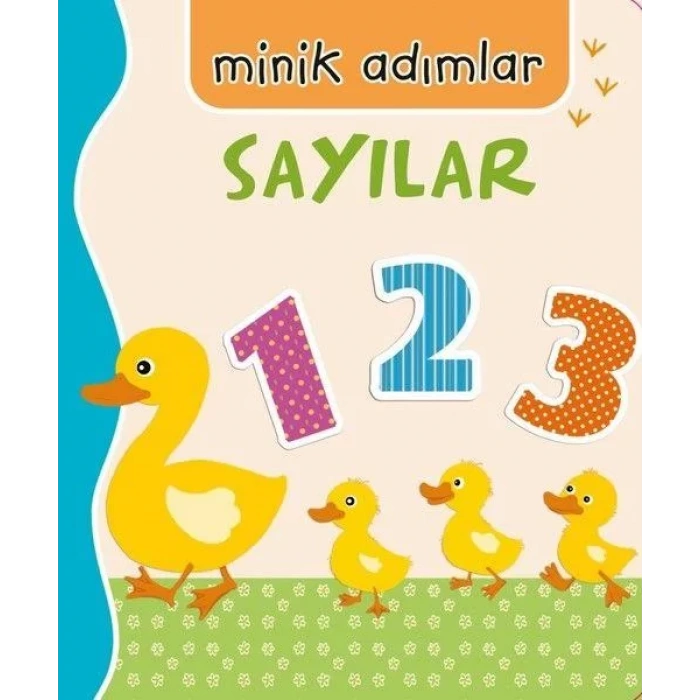 SAYILAR MİNİK ADIMLAR - NET