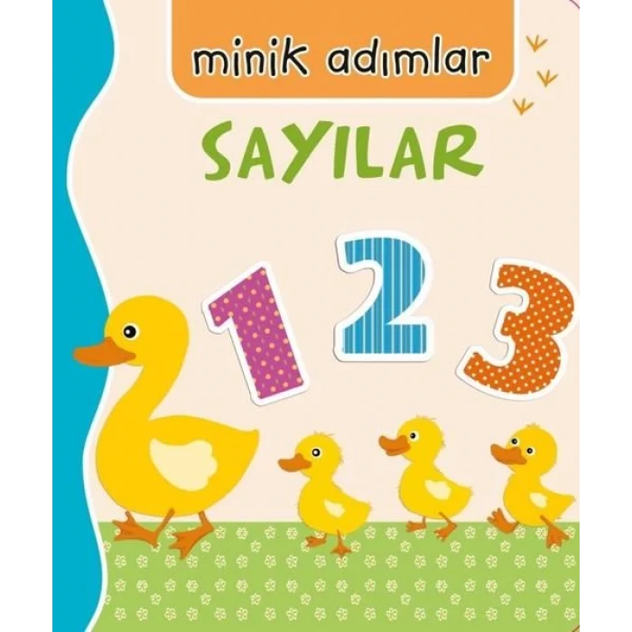 SAYILAR MİNİK ADIMLAR - NET