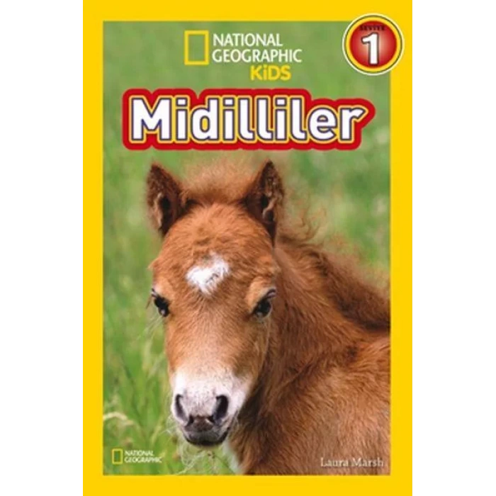 MİDİLLİLER - NATIONAL KİDS