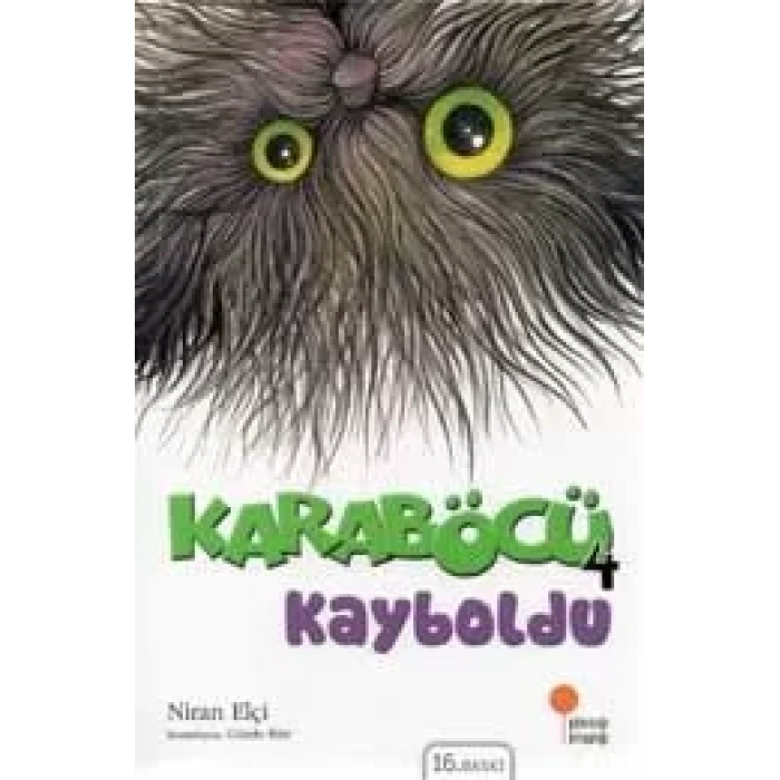 KARABÖCÜ 4 KARABÖCÜ KAYBOLDU - GÜNIŞIĞI