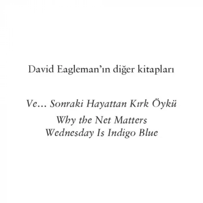 INCOGNITO BEYNİN GİZLİ HAYATI - DOMİNGO