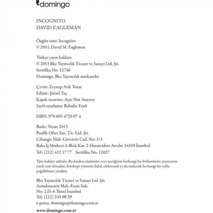 INCOGNITO BEYNİN GİZLİ HAYATI - DOMİNGO