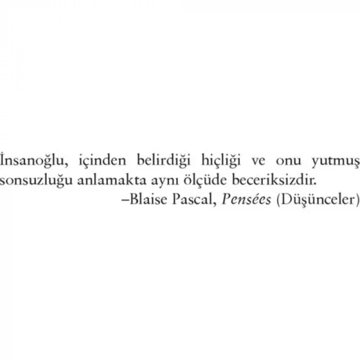 INCOGNITO BEYNİN GİZLİ HAYATI - DOMİNGO