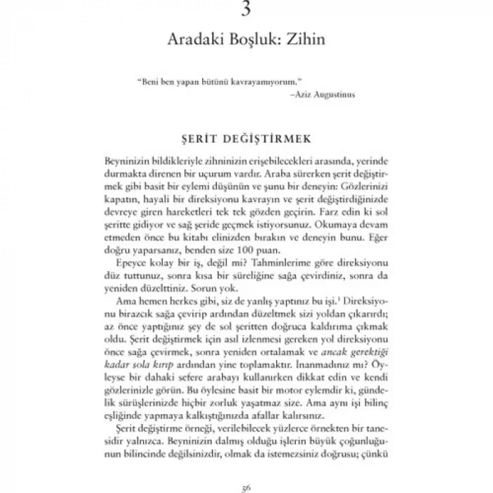 INCOGNITO BEYNİN GİZLİ HAYATI - DOMİNGO