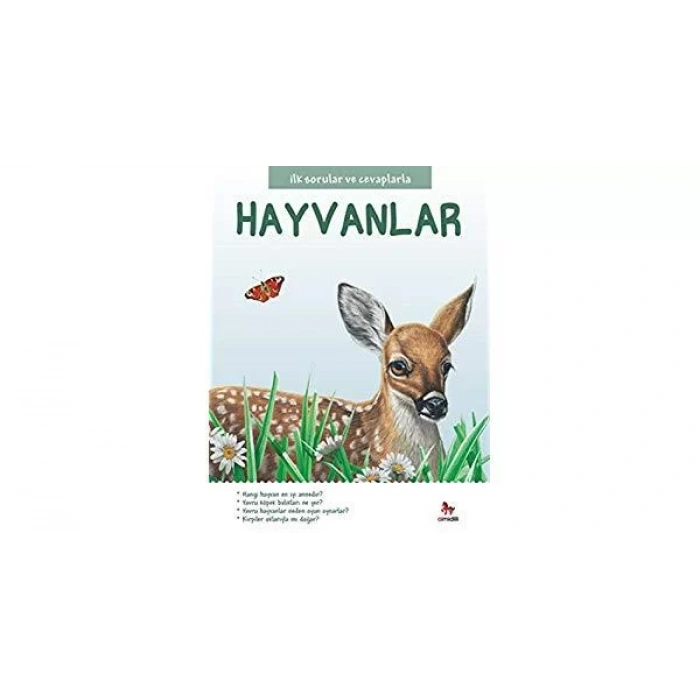 İLK SORULAR VE CEVAPLARLA HAYVANLAR - ALMİDİLLİ
