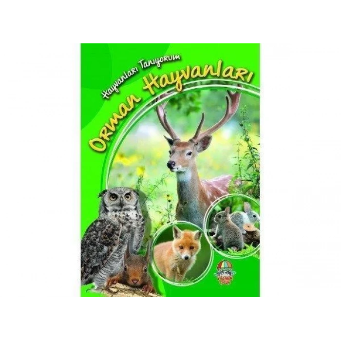 HAYVANLARI TANIYORUM ORMAN HAYVANLARI - YAĞMUR