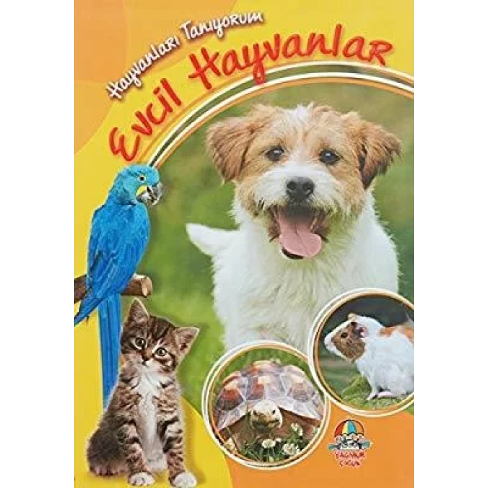 HAYVANLARI TANIYORUM EVCİL HAYVANLAR - YAĞMUR