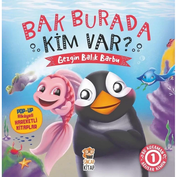 GEZGİN BALIK BARBU BAK BURDA KİM VAR - SİNCAP